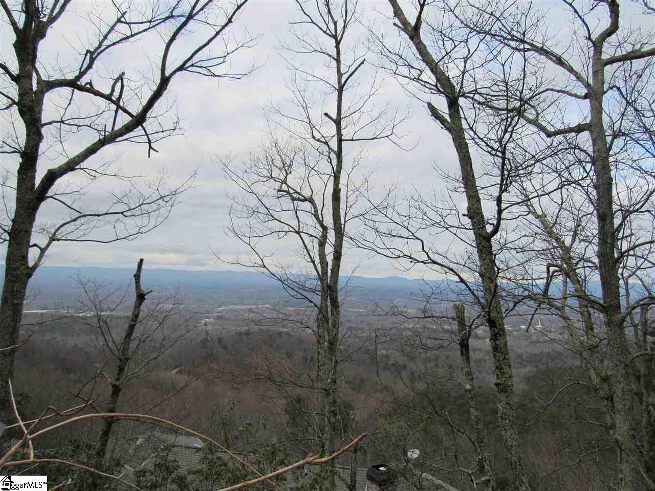 1701 Altamont Road Greenville, SC 29609 - Photo 17 of 36