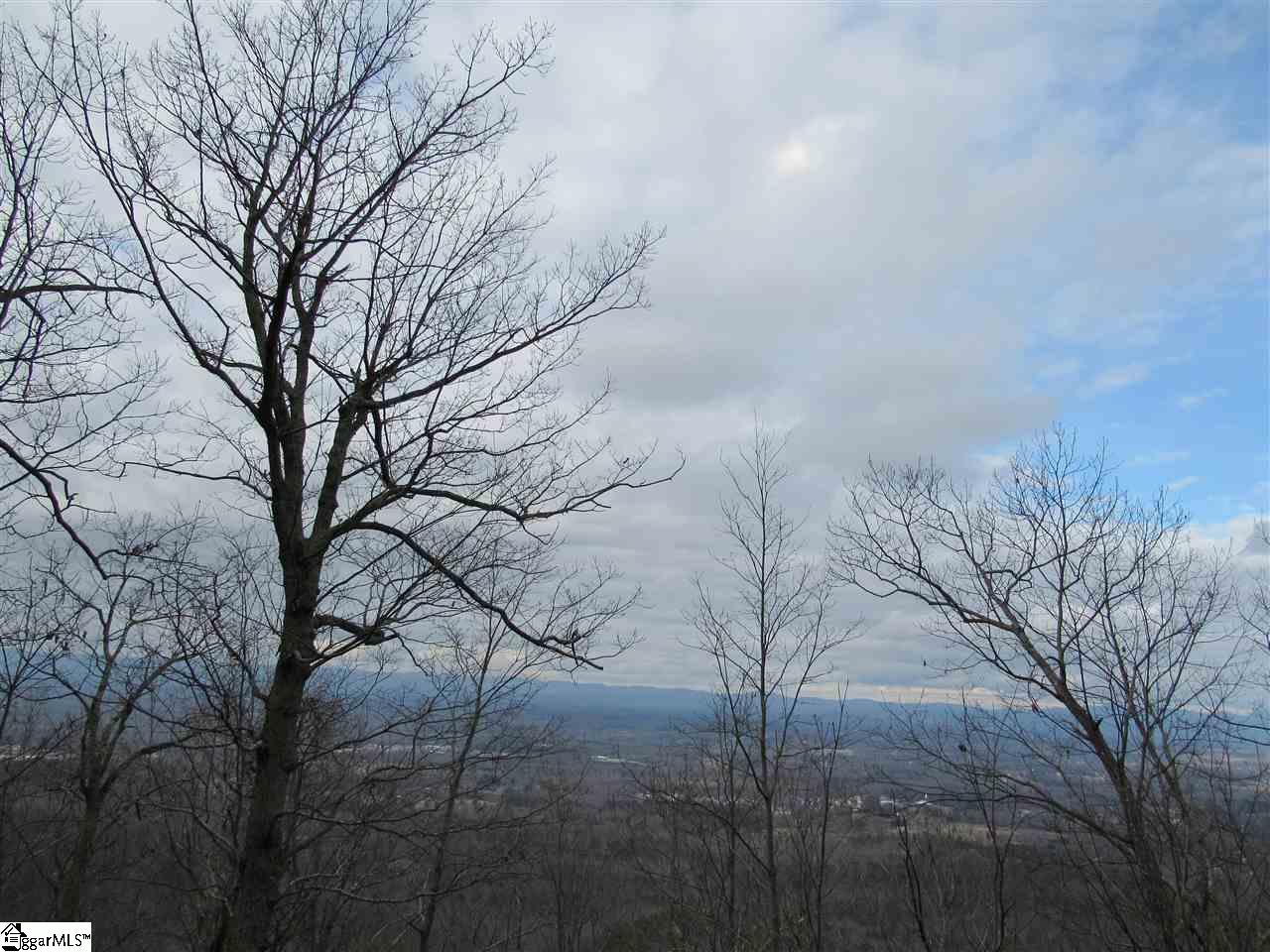 1701 Altamont Road Greenville, SC 29609 - Photo 18 of 36