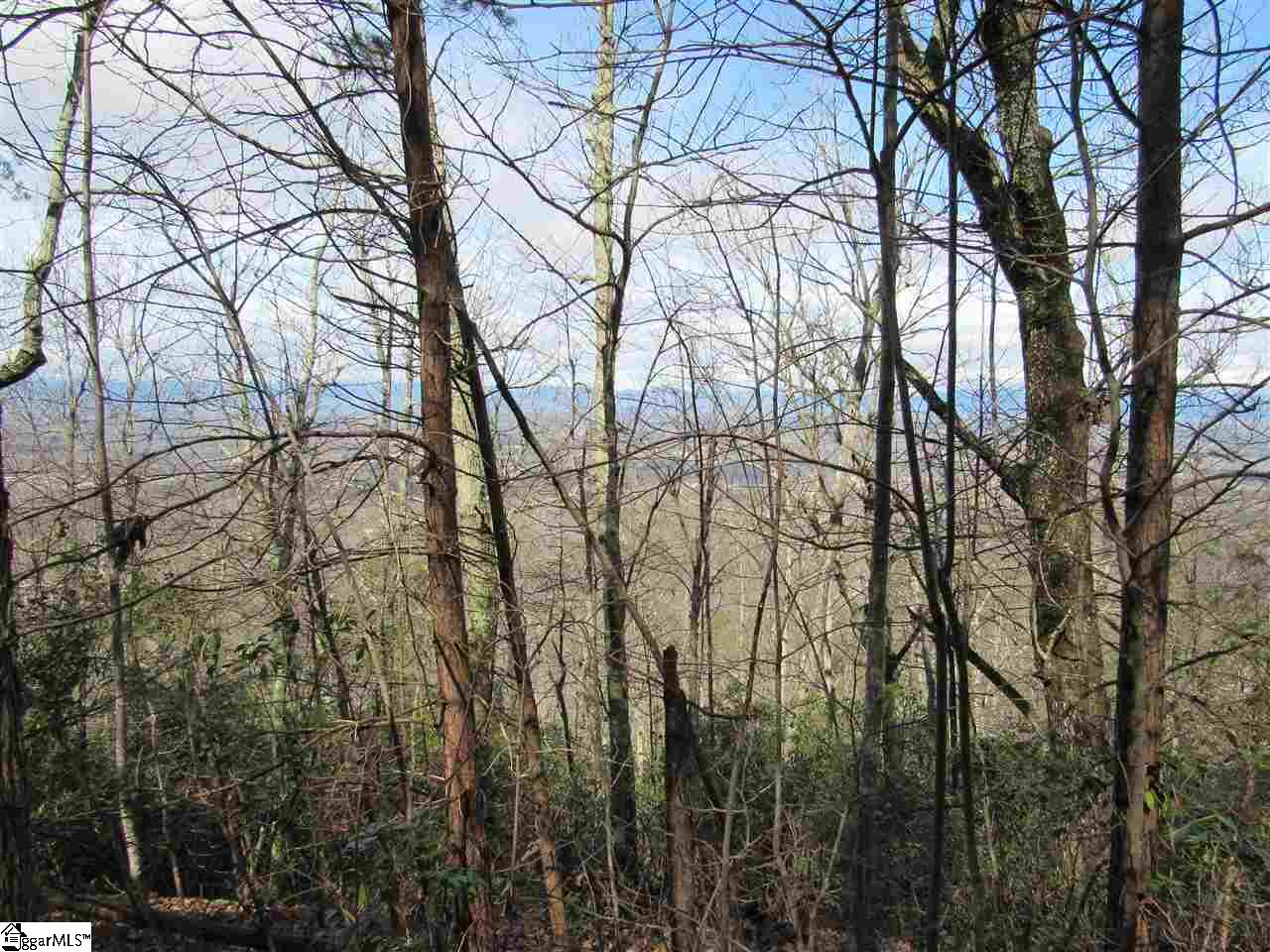 1701 Altamont Road Greenville, SC 29609 - Photo 30 of 36