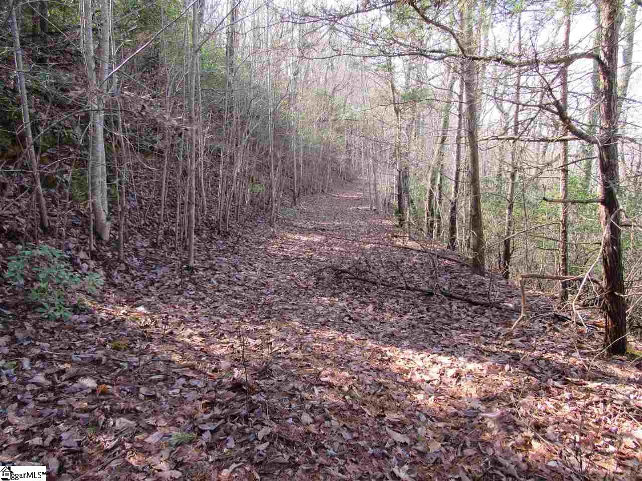 1701 Altamont Road Greenville, SC 29609 - Photo 31 of 36