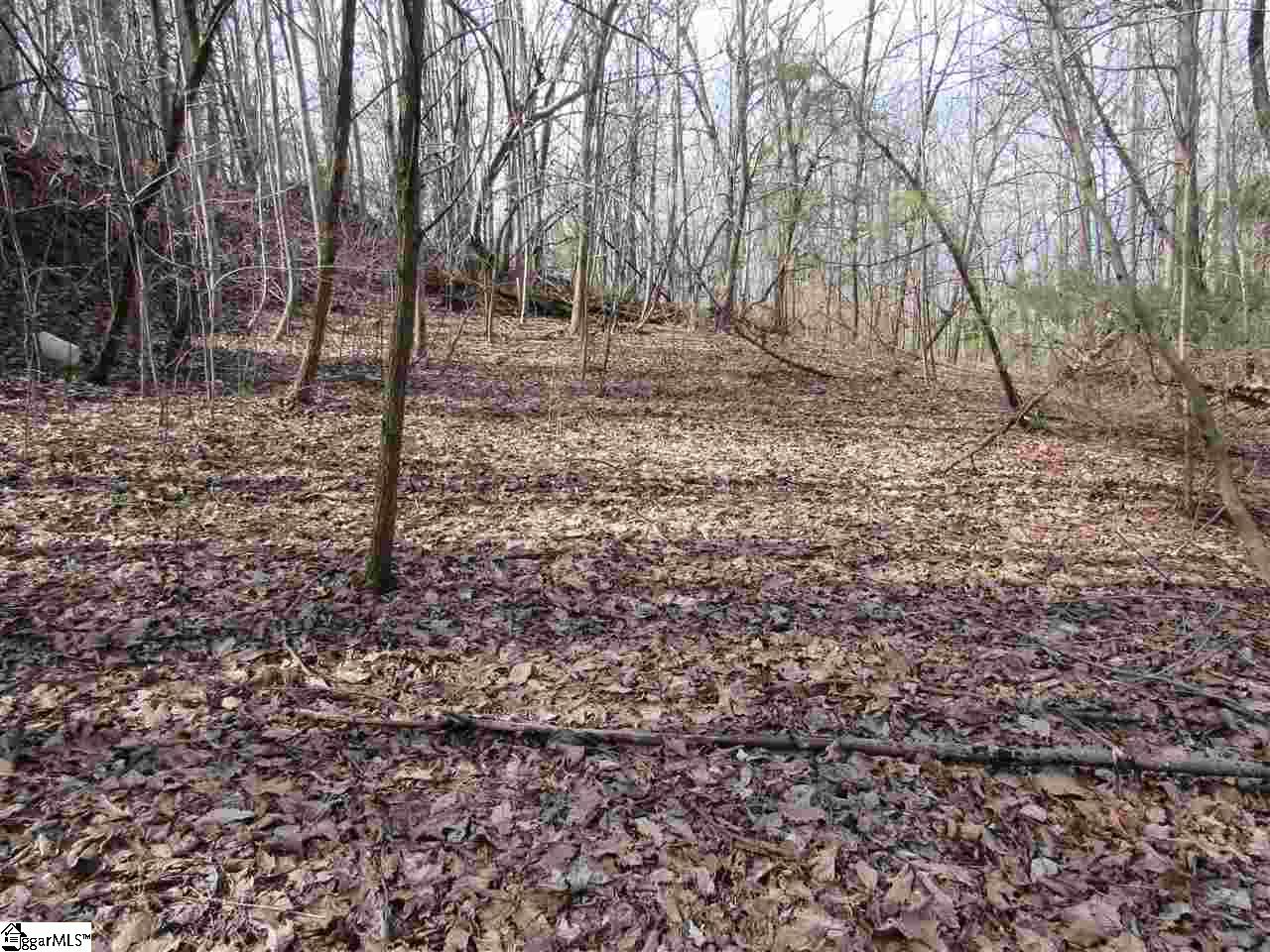 1701 Altamont Road Greenville, SC 29609 - Photo 34 of 36