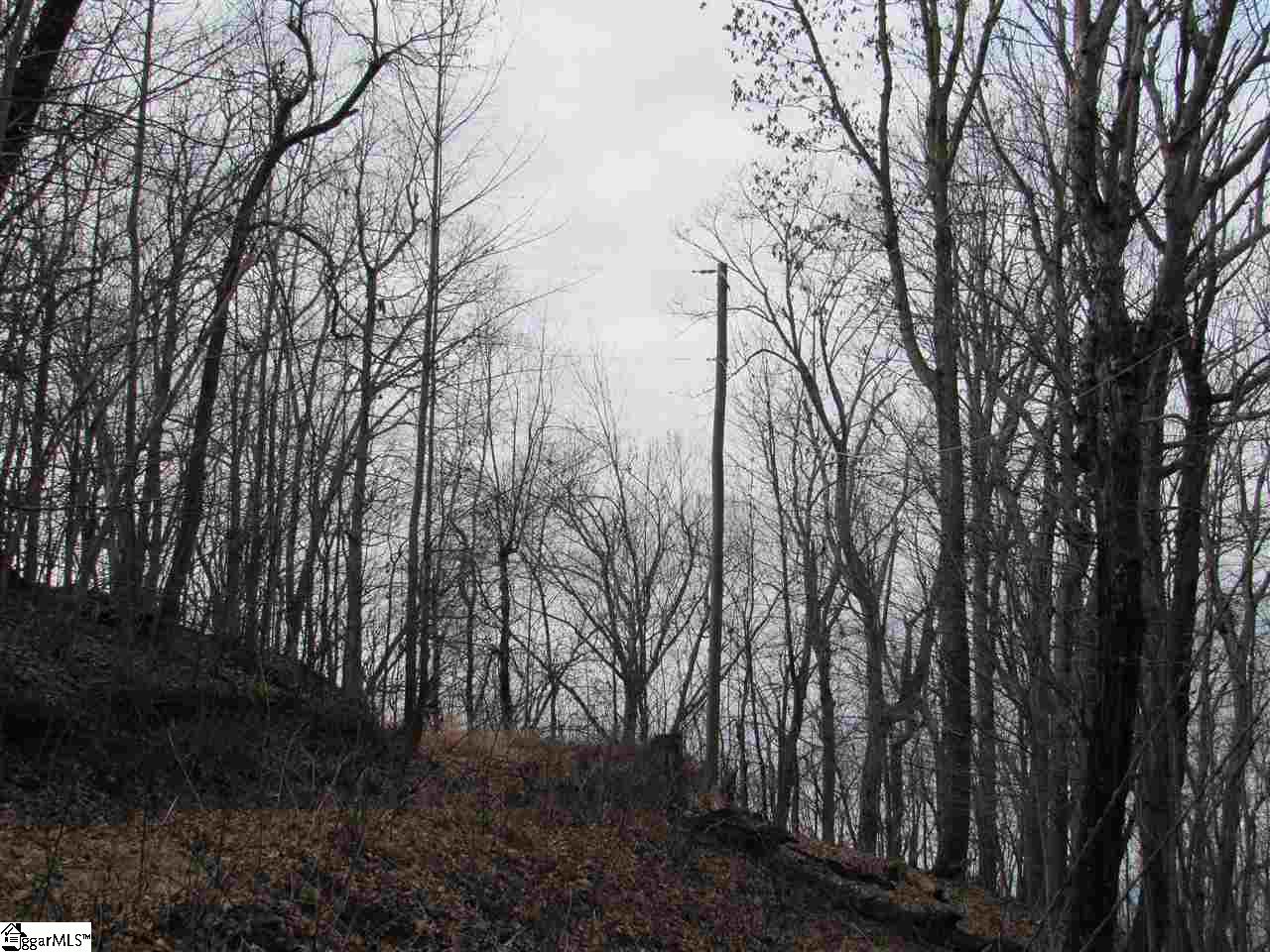 1701 Altamont Road Greenville, SC 29609 - Photo 9 of 36