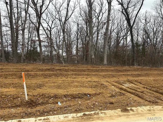 $110,000 | 1 Hawthorne Drive, Unit LOT 1, Warrenton, MO 63383