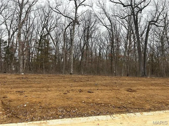 $110,000 | 1 Hawthorne Drive, Unit LOT 1, Warrenton, MO 63383