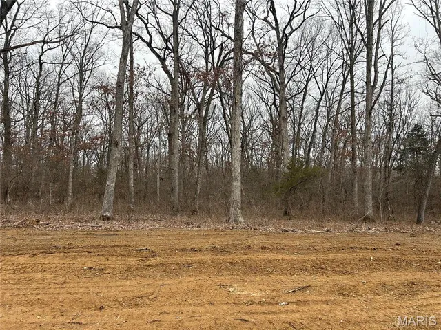 $110,000 | 1 Hawthorne Drive, Unit LOT 1, Warrenton, MO 63383