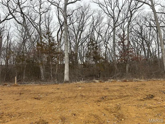 $110,000 | 1 Hawthorne Drive, Unit LOT 1, Warrenton, MO 63383