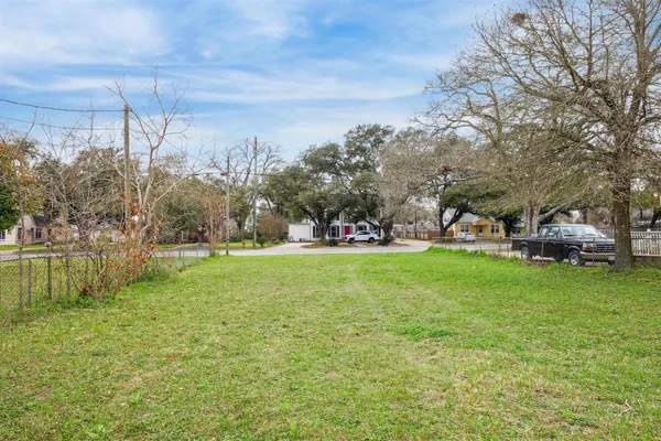 a backyard of a house with plants and large tree