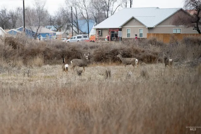 $310,000 | 1147 Power Avenue, Payette, ID 83661