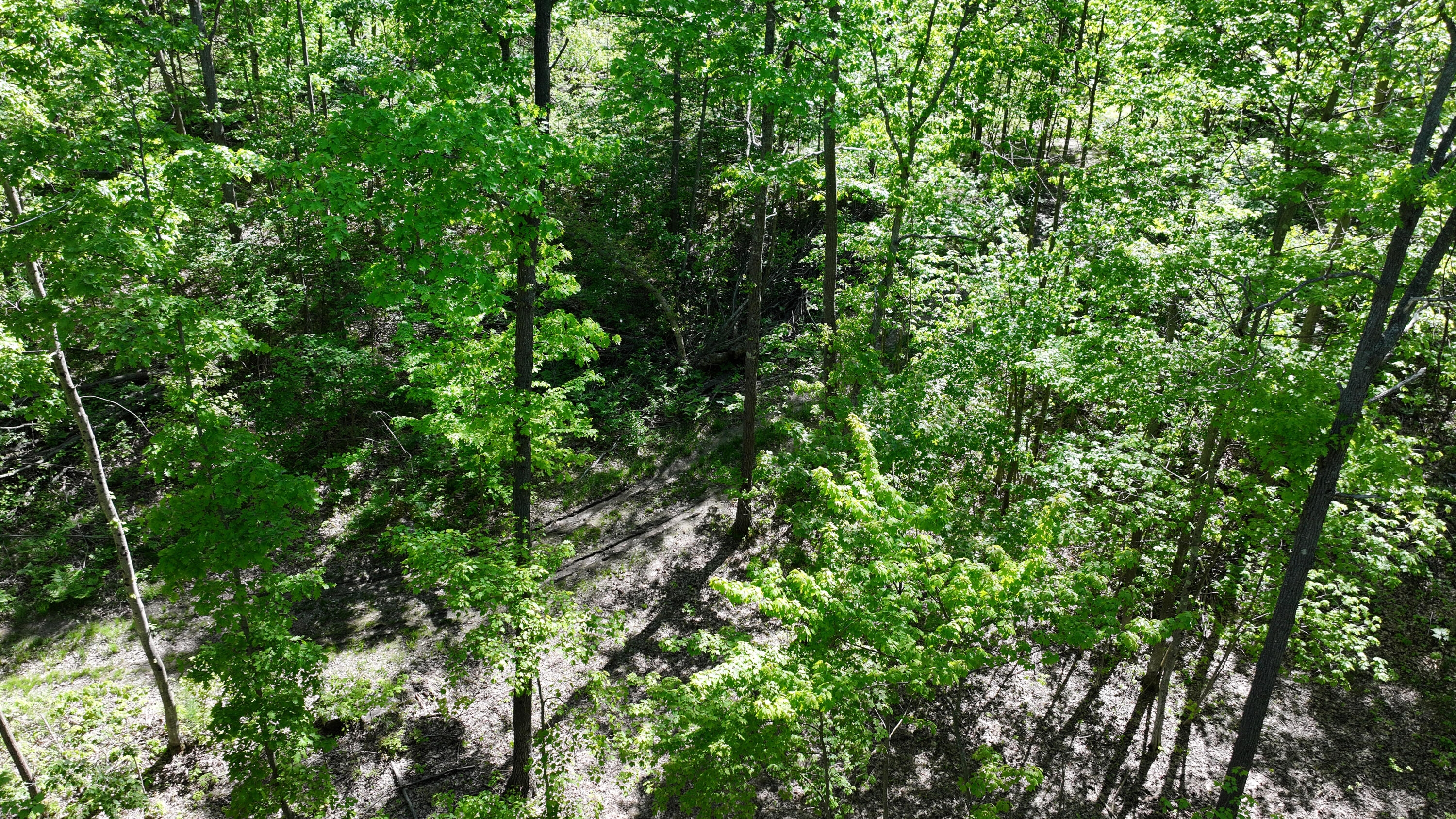 Parcel 'c' East Free Soil Road Free Soil, MI 49411 - Photo 5 of 7 DJI_20260529165304_0434_D copy