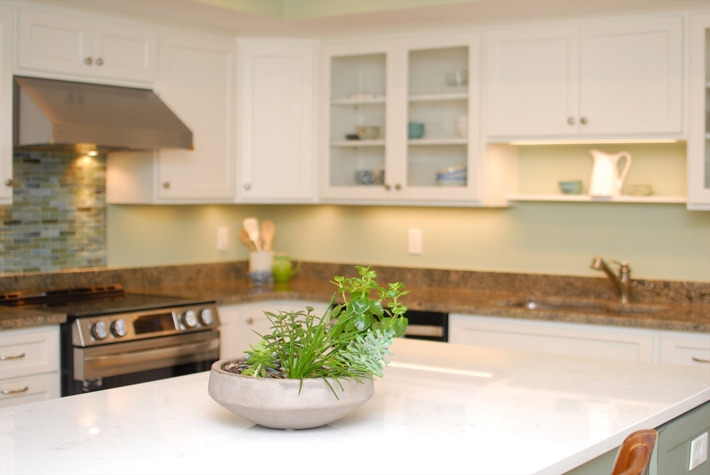 12 South Meadow Ridge, Unit 12 Concord, MA 01742 - Photo 33 of 38 a kitchen with a sink and a stove