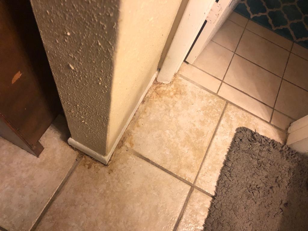 10920 Southwest 124th Road Miami, FL 33176 - Photo 6 of 16 WhatsApp Image 2019-08-02 at 10.25.24 AM