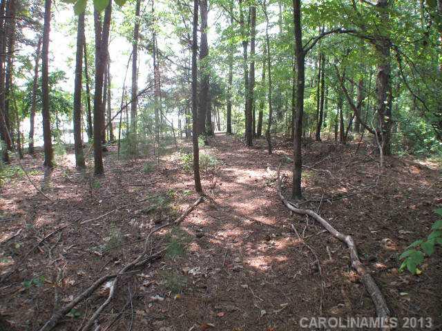 3913 Channel Point Lane Denver, NC 28037 - Photo 11 of 16 Gallery Image 11