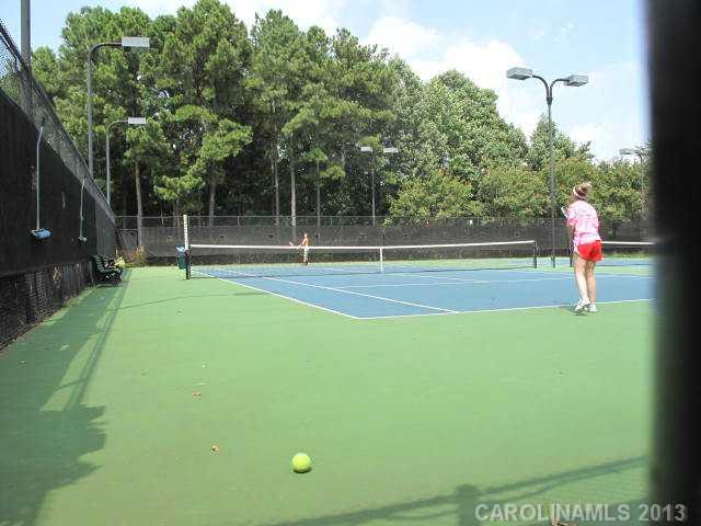 3913 Channel Point Lane Denver, NC 28037 - Photo 14 of 16 Gallery Image 14