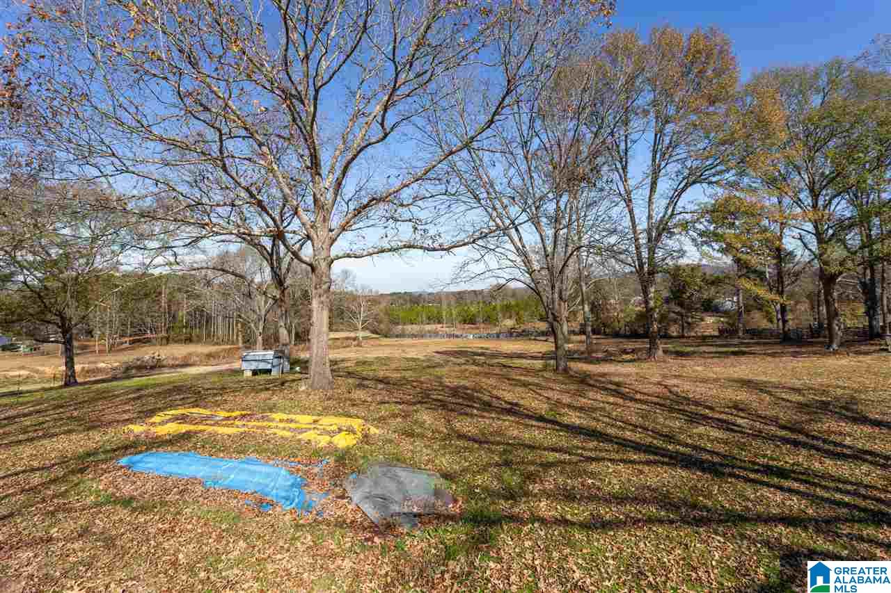 911 Granttown Road Munford, AL 36268 - Photo 34 of 50