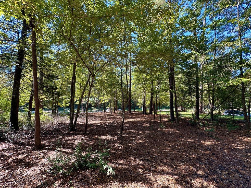 Tbd Holly Trail Holly Lake Ranch, TX 75765 - Photo 11 of 37