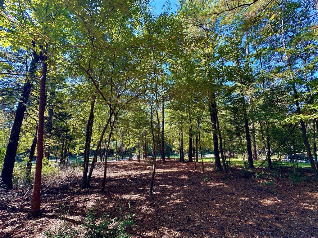 Tbd Holly Trail Holly Lake Ranch, TX 75765 - Photo 12 of 37