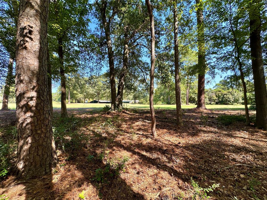 Tbd Holly Trail Holly Lake Ranch, TX 75765 - Photo 15 of 37