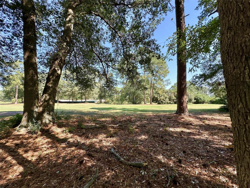 Tbd Holly Trail Holly Lake Ranch, TX 75765 - Photo 16 of 37