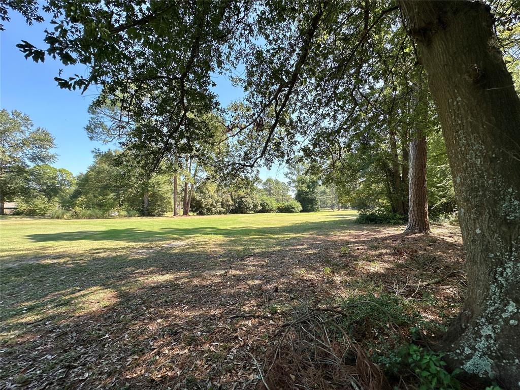 Tbd Holly Trail Holly Lake Ranch, TX 75765 - Photo 17 of 37