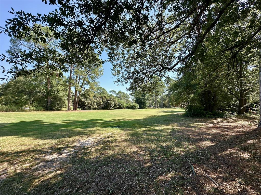 Tbd Holly Trail Holly Lake Ranch, TX 75765 - Photo 18 of 37