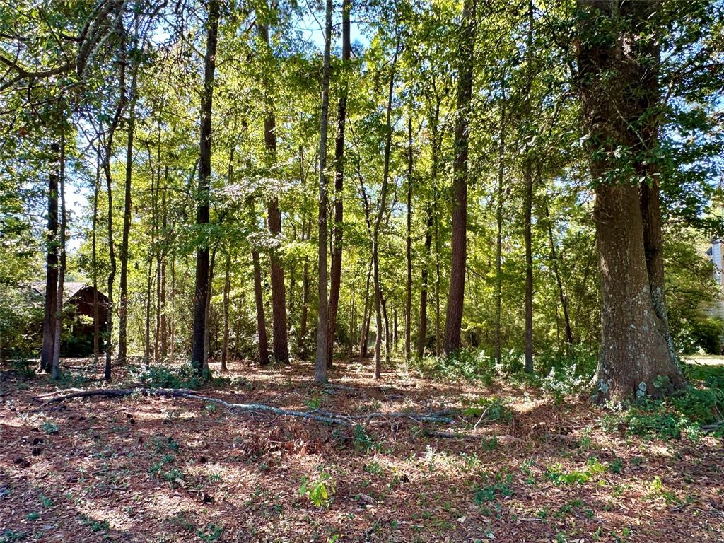 Tbd Holly Trail Holly Lake Ranch, TX 75765 - Photo 20 of 37