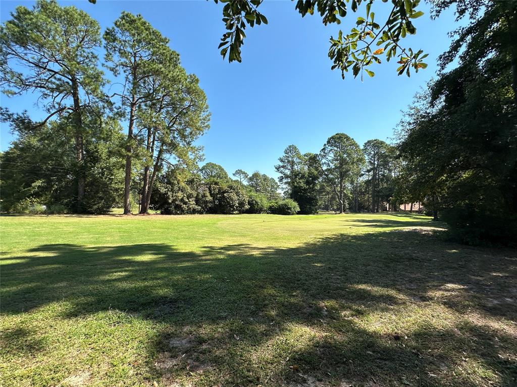 Tbd Holly Trail Holly Lake Ranch, TX 75765 - Photo 21 of 37