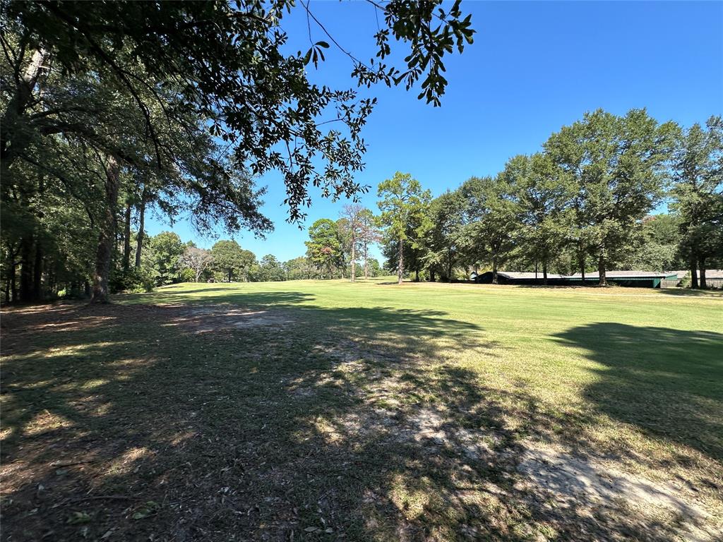 Tbd Holly Trail Holly Lake Ranch, TX 75765 - Photo 24 of 37