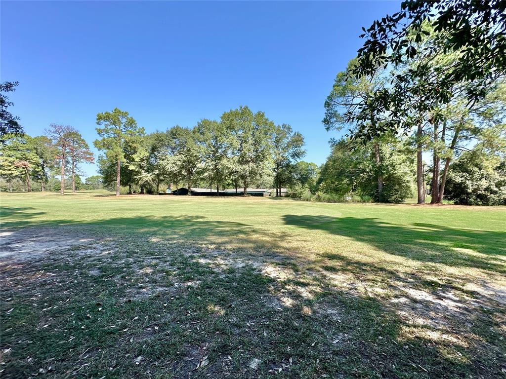 Tbd Holly Trail Holly Lake Ranch, TX 75765 - Photo 25 of 37