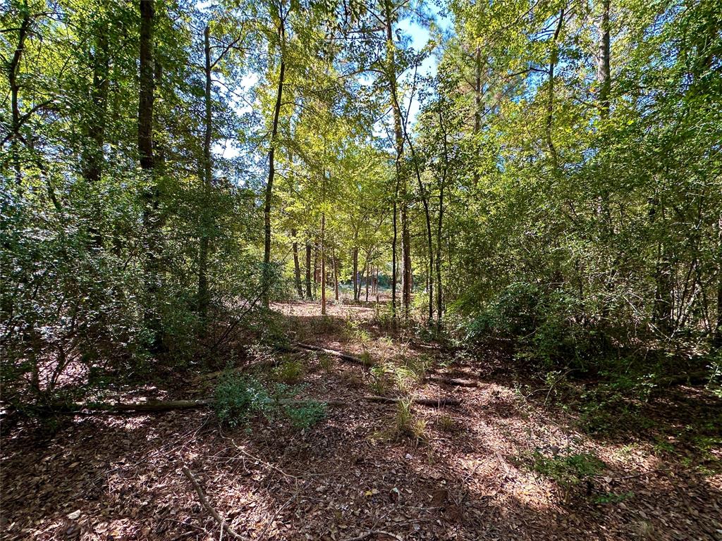Tbd Holly Trail Holly Lake Ranch, TX 75765 - Photo 26 of 37
