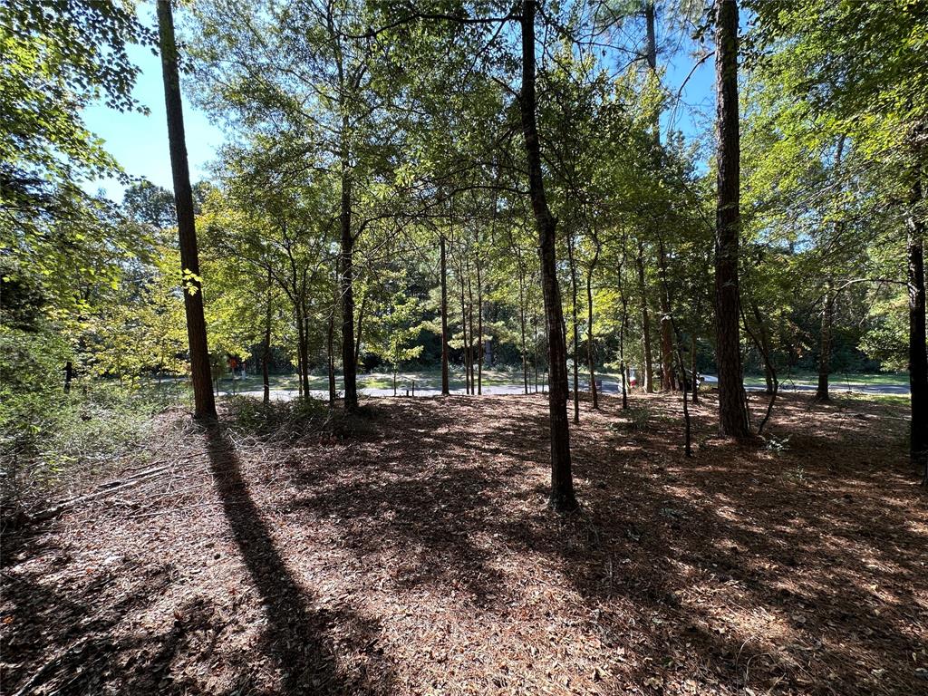 Tbd Holly Trail Holly Lake Ranch, TX 75765 - Photo 29 of 37