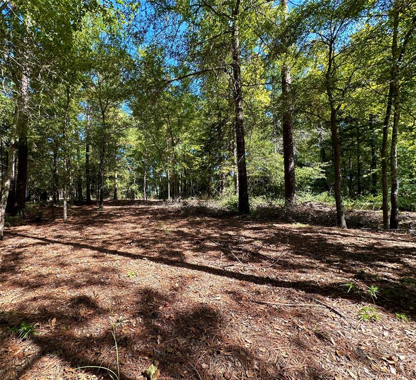 Tbd Holly Trail Holly Lake Ranch, TX 75765 - Photo 32 of 37