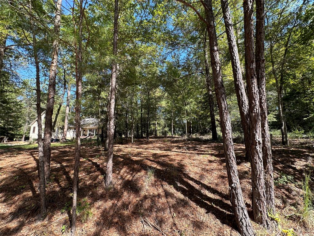 Tbd Holly Trail Holly Lake Ranch, TX 75765 - Photo 33 of 37