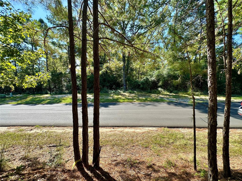 Tbd Holly Trail Holly Lake Ranch, TX 75765 - Photo 34 of 37