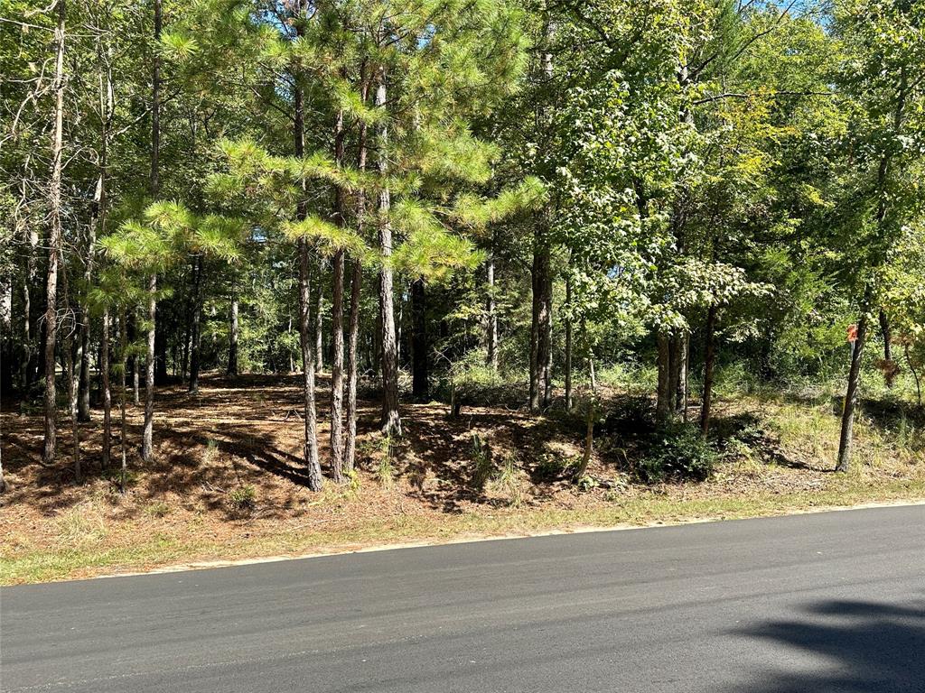 Tbd Holly Trail Holly Lake Ranch, TX 75765 - Photo 35 of 37