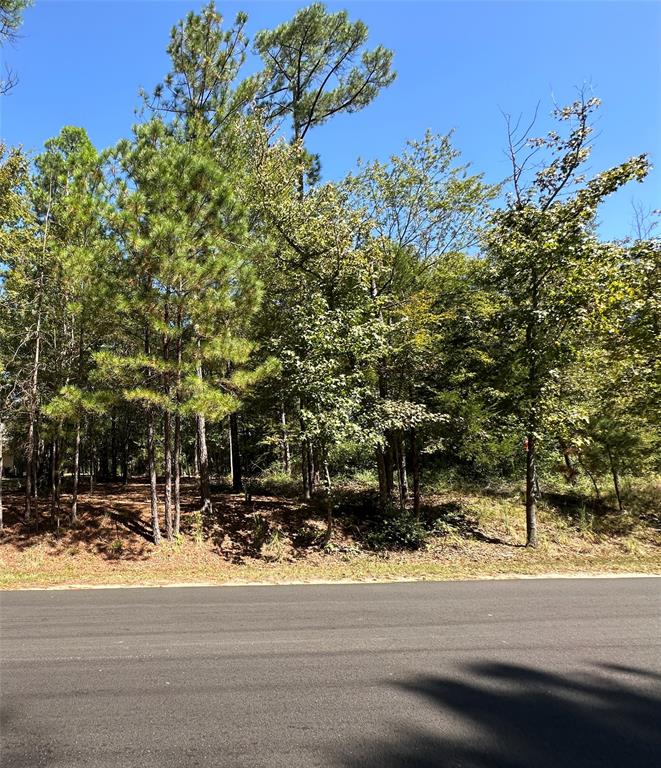 Tbd Holly Trail Holly Lake Ranch, TX 75765 - Photo 37 of 37