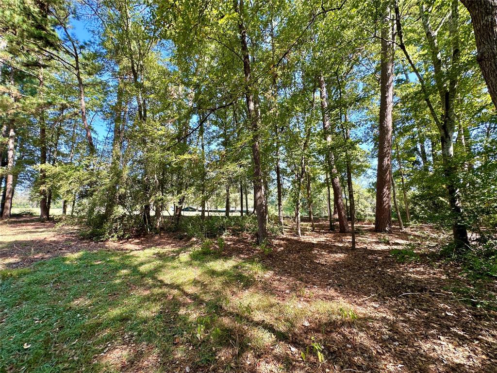 Tbd Holly Trail Holly Lake Ranch, TX 75765 - Photo 4 of 37