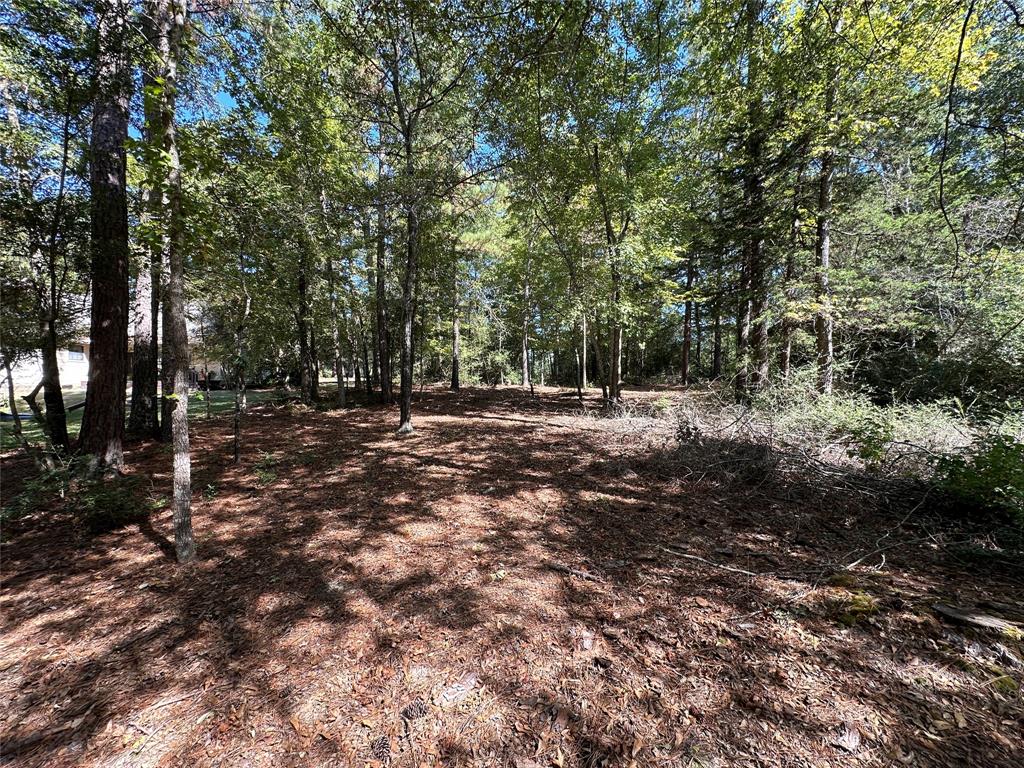 Tbd Holly Trail Holly Lake Ranch, TX 75765 - Photo 5 of 37