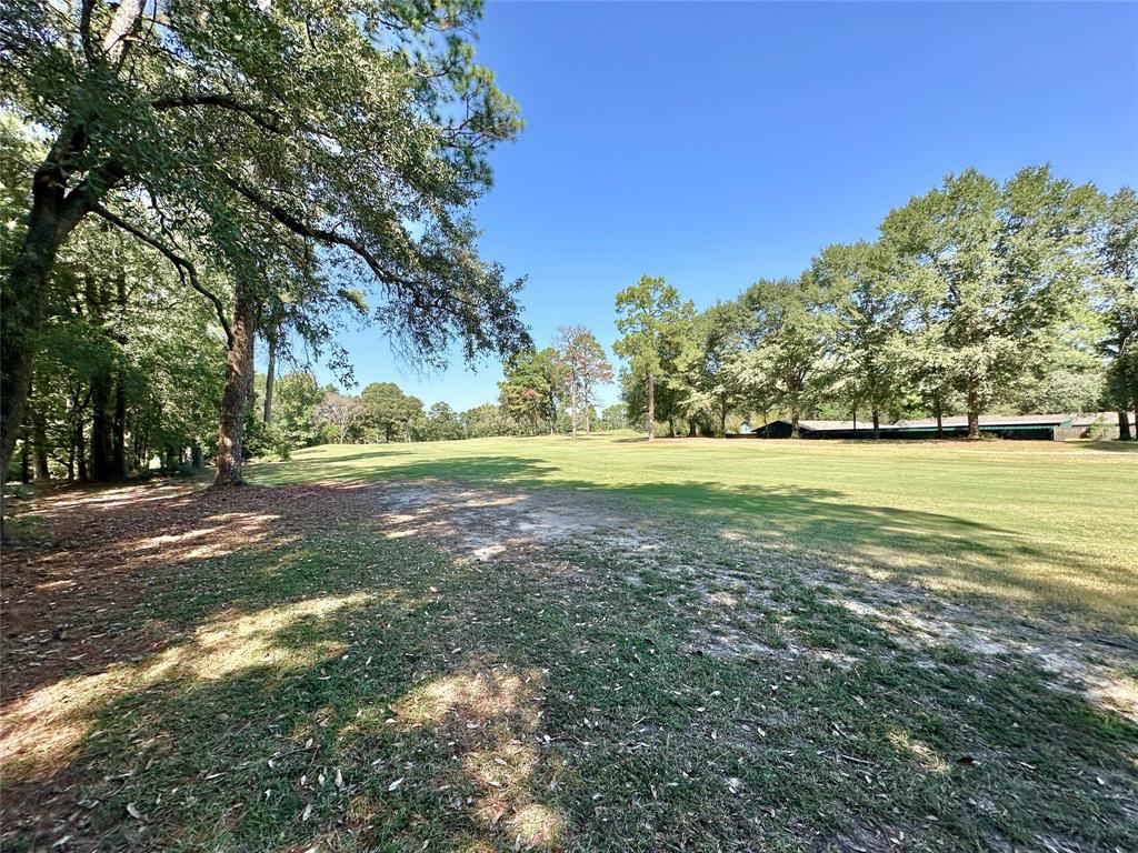 Tbd Holly Trail Holly Lake Ranch, TX 75765 - Photo 6 of 37