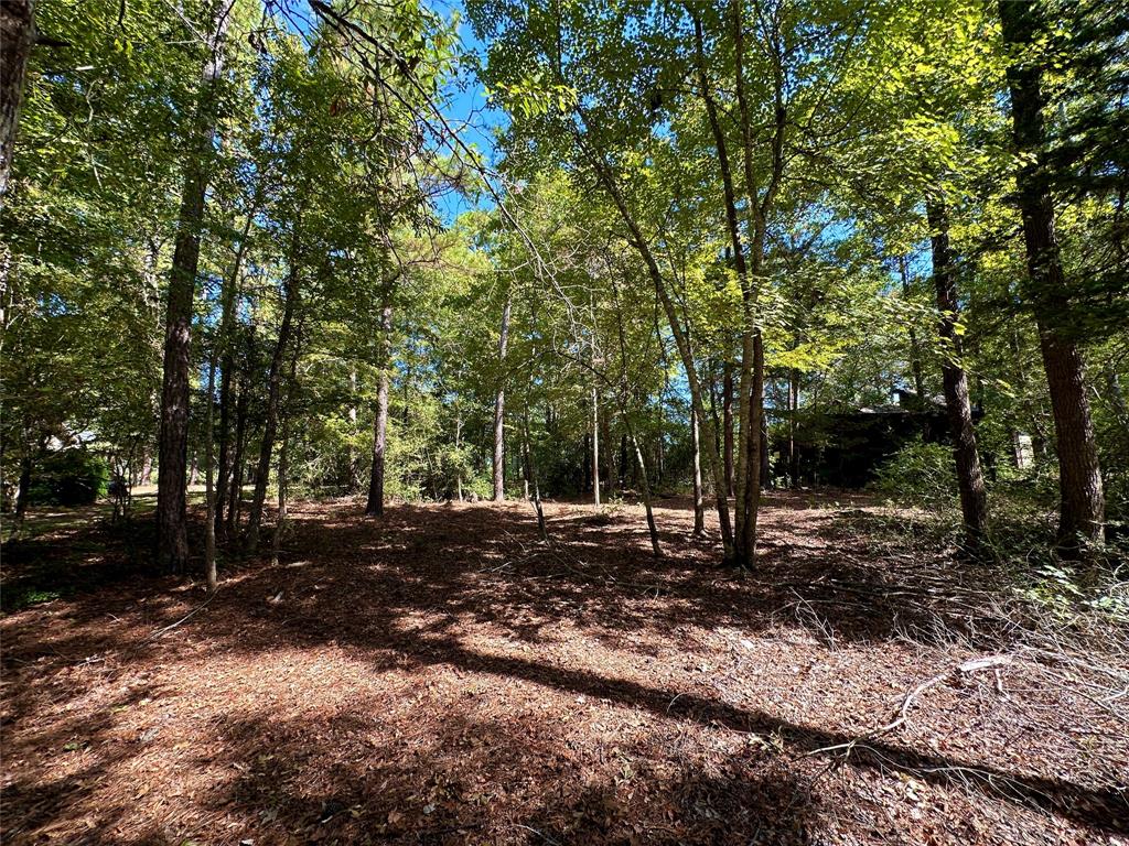 Tbd Holly Trail Holly Lake Ranch, TX 75765 - Photo 7 of 37