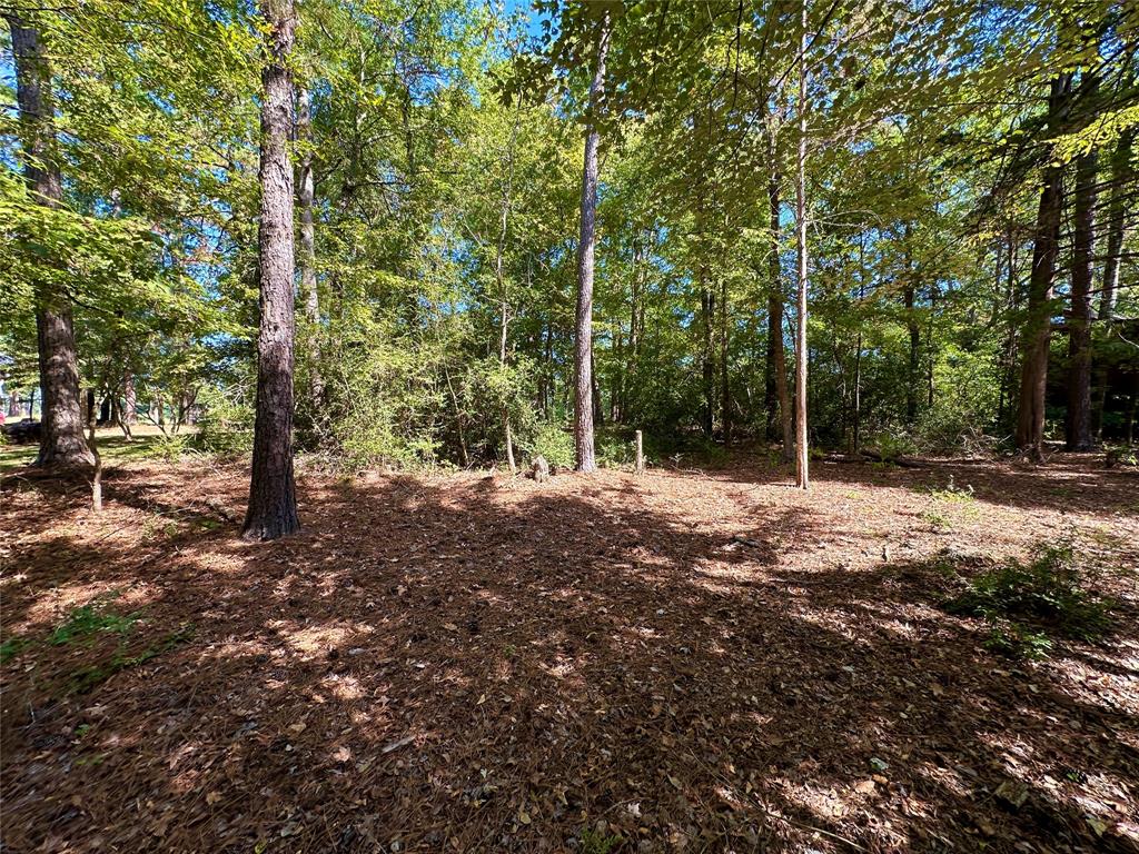 Tbd Holly Trail Holly Lake Ranch, TX 75765 - Photo 9 of 37