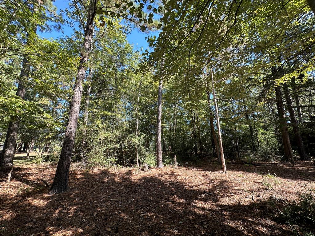 Tbd Holly Trail Holly Lake Ranch, TX 75765 - Photo 10 of 37