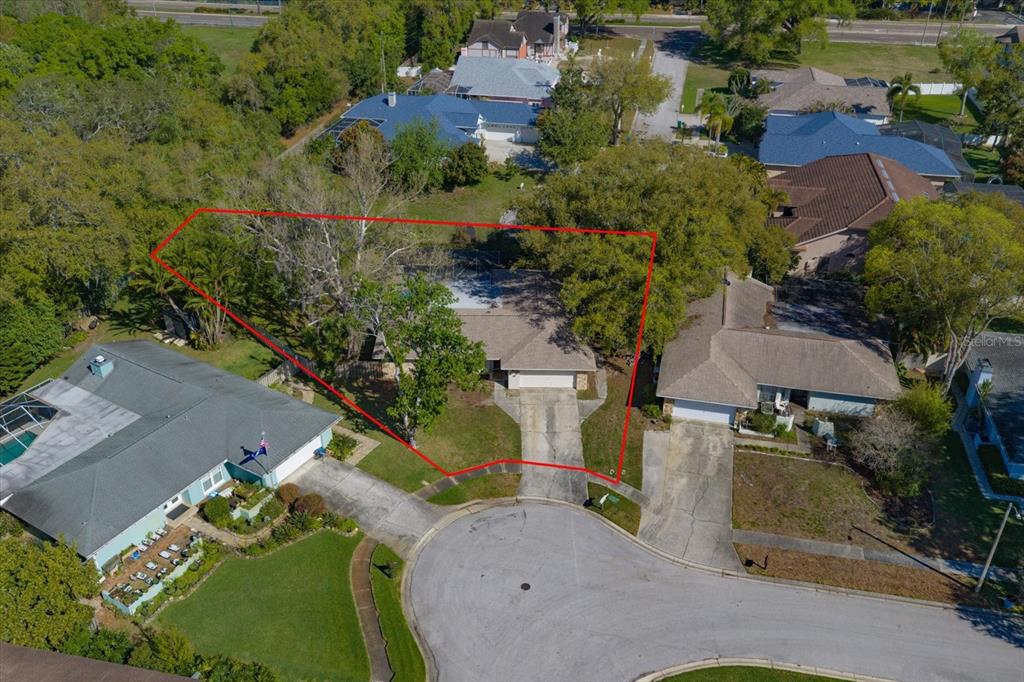 1967 Castille Drive Dunedin, FL 34698 - Photo 5 of 10 an aerial view of a house with a yard and lake view