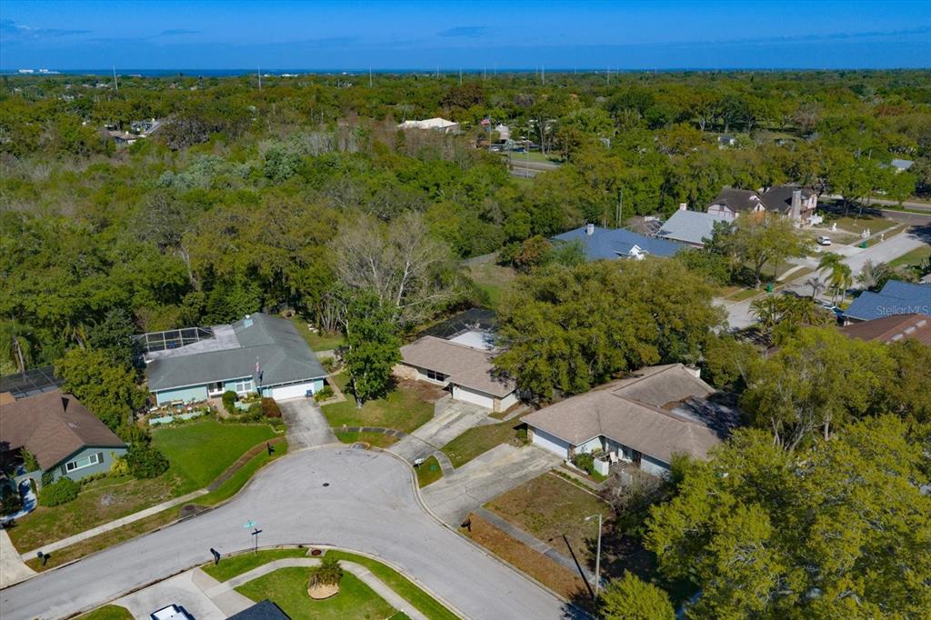 1967 Castille Drive Dunedin, FL 34698 - Photo 6 of 10 an aerial view of a house