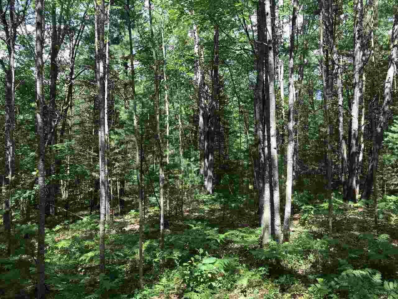 7690 Haven Ridge Trail Roscommon, MI 48653 - Photo 40 of 45 Gallery Image 40