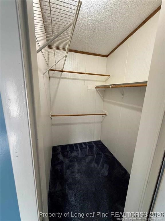 21040 McLaughlin Road Laurinburg, NC 28352 - Photo 6 of 14 a close view of walk in closet