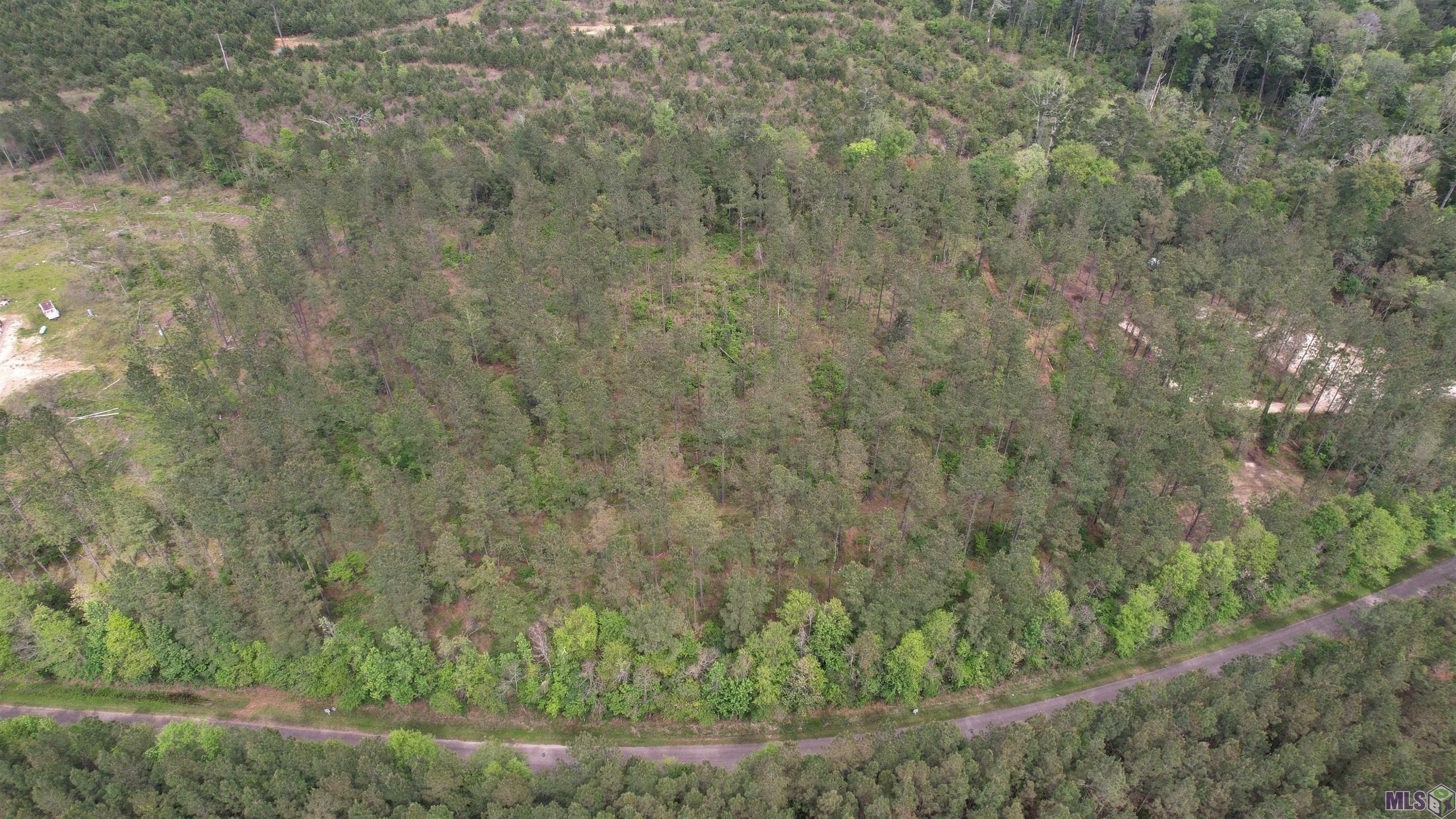 Lot 9 McLin Road Pine Grove, LA 70453 - Photo 2 of 5 Gallery Image 2