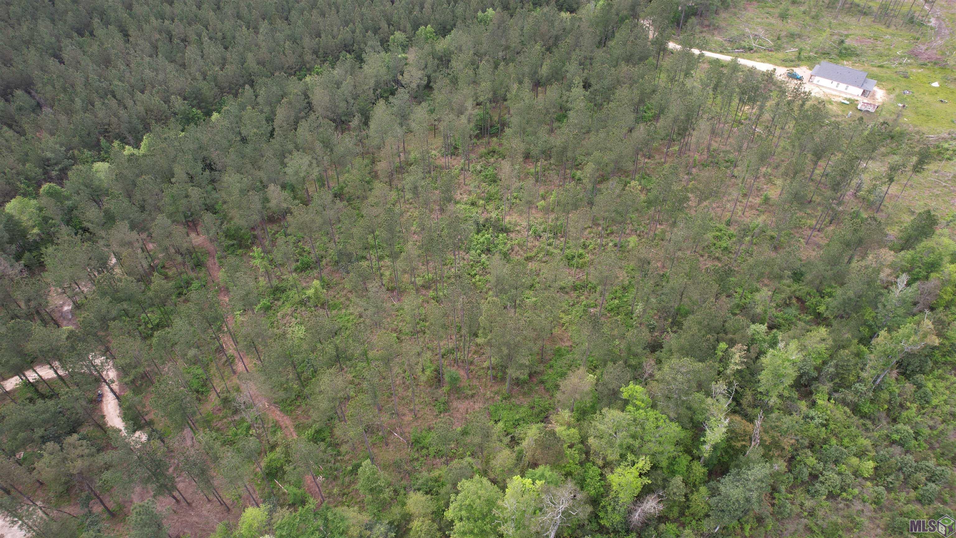 Lot 9 McLin Road Pine Grove, LA 70453 - Photo 3 of 5 Gallery Image 3