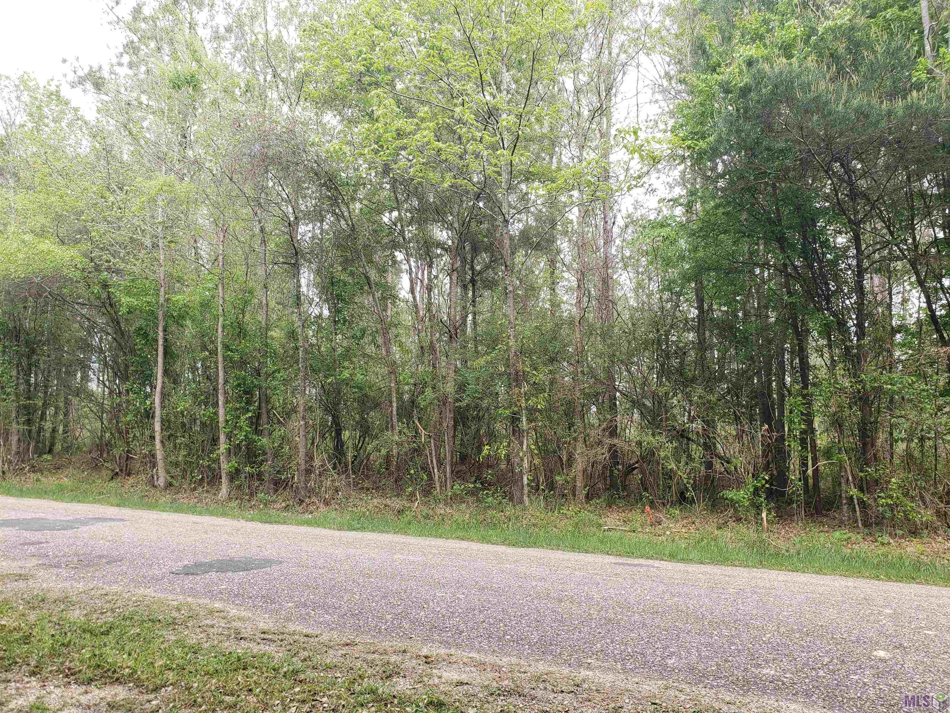 Lot 9 McLin Road Pine Grove, LA 70453 - Photo 5 of 5 Gallery Image 5