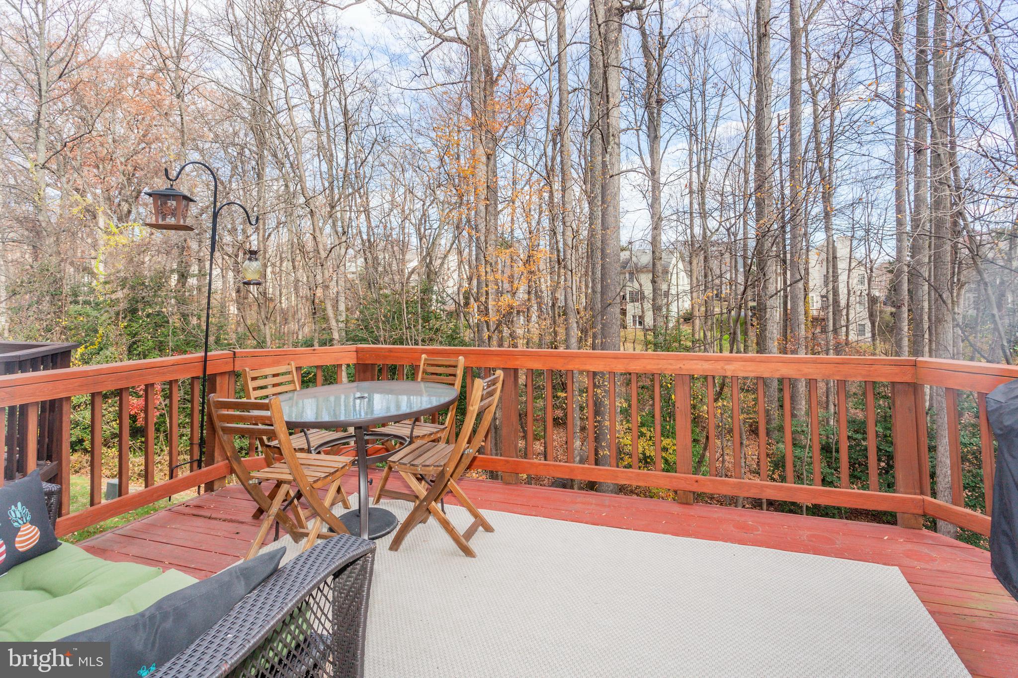 1259 Wild Hawthorn Way Reston, VA 20194 - Photo 36 of 39 Gallery Image 36