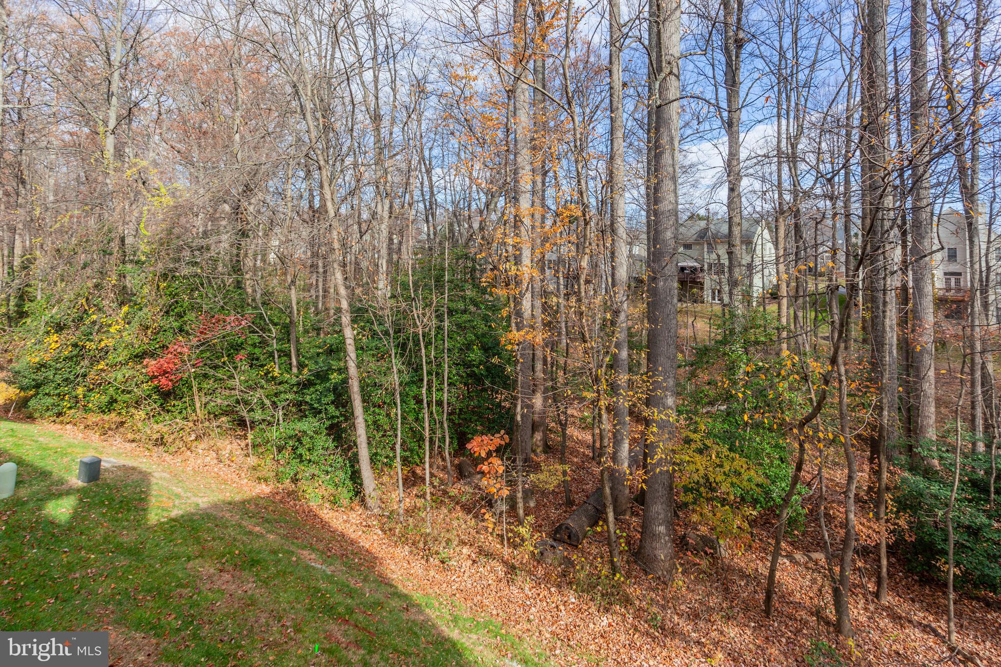 1259 Wild Hawthorn Way Reston, VA 20194 - Photo 37 of 39 Gallery Image 37